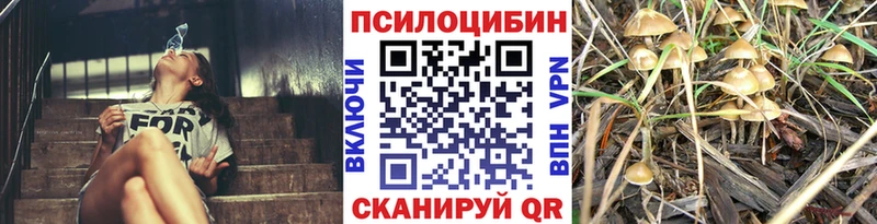 Галлюциногенные грибы мицелий дарнет шоп Сольцы