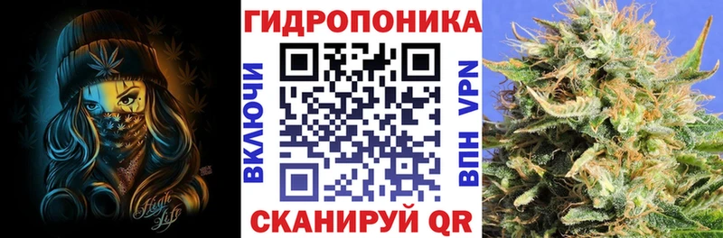 Марихуана Ganja  где продают наркотики  Сольцы 